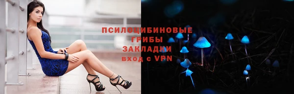 дживик Алексин