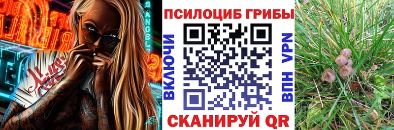 Псилоцибиновые грибы Magic Shrooms  где продают   блэк спрут ссылка  Балашов 