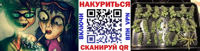 Канабис семена  Балашов 